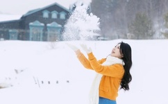 像火花像蝴蝶35全集